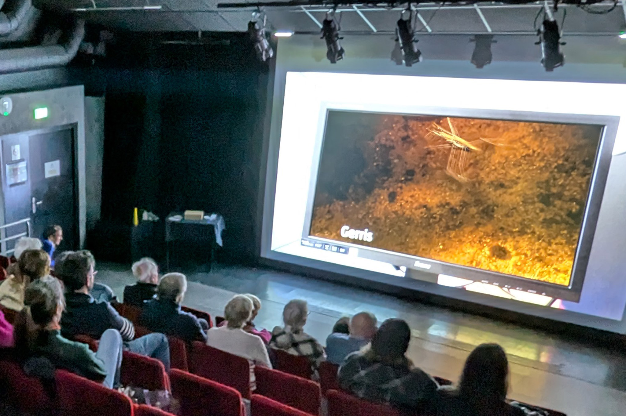 Appel à films : Rencontres Vidéo Amateur 2026